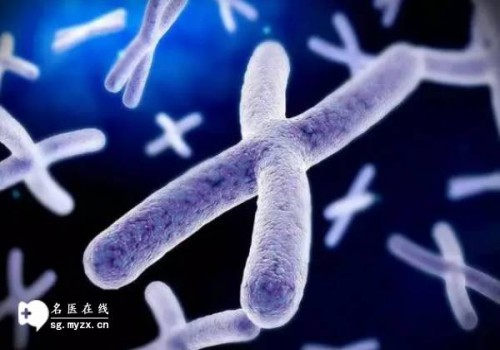 西安試管助孕公司：2023供卵試管嬰兒申請流程、成功率、及費用介紹