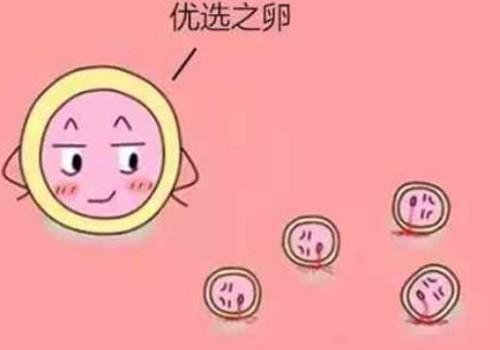 去泰國HIV洗精技術(shù)會(huì)比國內(nèi)的技術(shù)更好嗎？