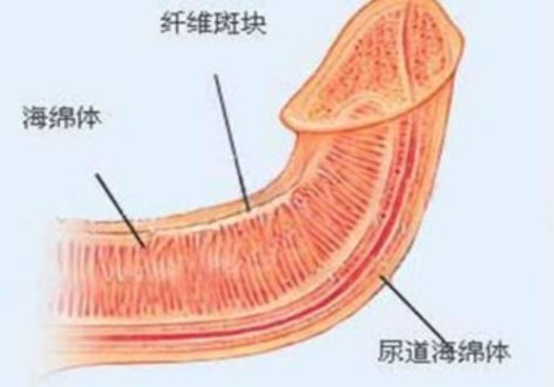 西安供卵試管：12個月以下的嬰兒多久調(diào)整一次奶量和次數(shù)？