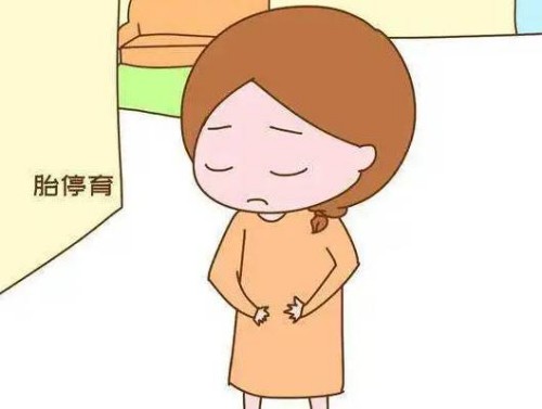 孕期四維彩超必須要做，檢查費用差不多2000元