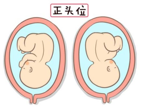 西安試管助孕公司：孕婦安胎保胎食物有哪些，多吃這些食物對身體只有好處