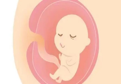 蝦仁給小孩做應(yīng)該怎么做,怎么給寶寶做蝦仁輔食
