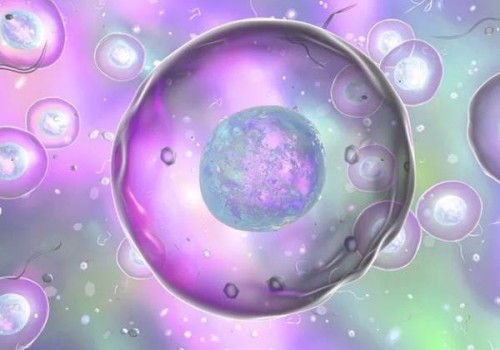 2023年做試管嬰兒的家庭別再相信試管嬰兒不成功包退款的騙局了！