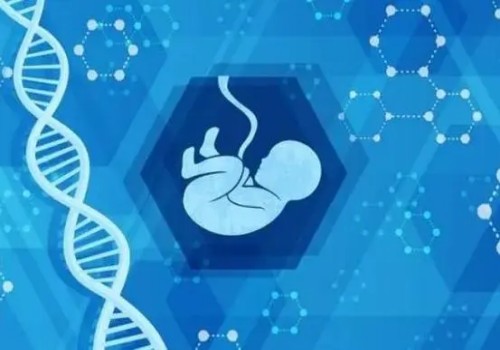 西安三代試管助孕：子宮內(nèi)膜不均勻是為什么,會影響胚胎著床嗎